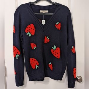 NWT Loft Strawberry V Neck Sweater - L